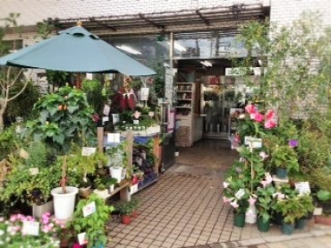 「フラワーショップタマダ」　（広島県広島市安佐北区）の花屋店舗写真1